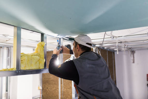 Best Insulation Contractor Near Me  in USA